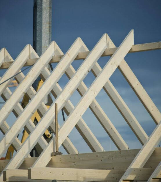 yves-cedric-schulze-o-ANXY28n_w-unsplash